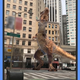 Image for article titled These Are the Best AR Apps You Can Use Outside